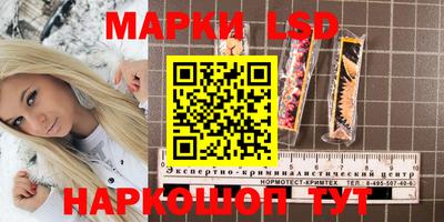 спиды Свободный