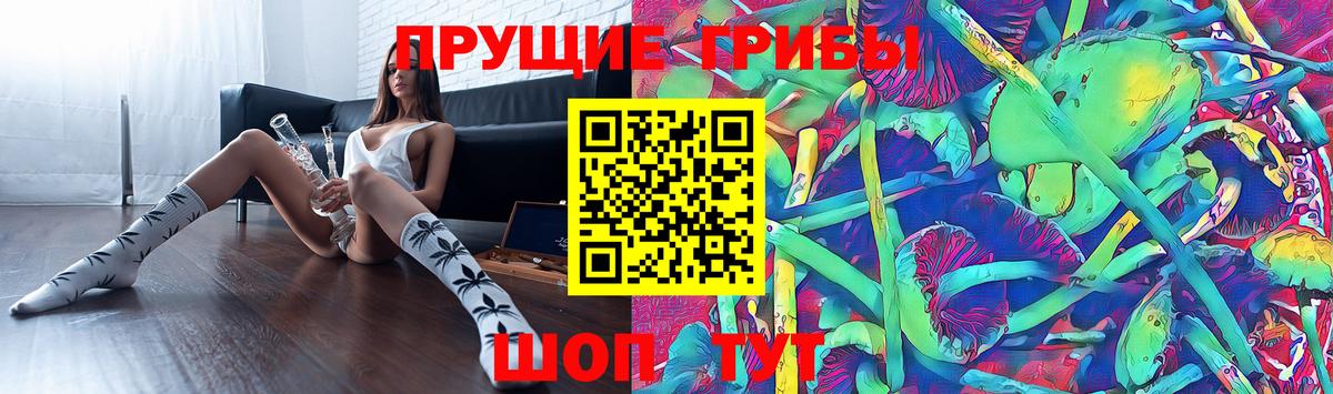 Галлюциногенные грибы мицелий  Вход с VPN  Буйнакск  продажа наркотиков  Псилоцибиновые грибы ЛСД 
